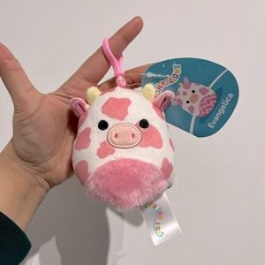 Evangelica Clip - Squishmallow